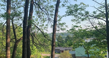 Newly remodeled cozy 3BR/1BA home on a hill, minutes from town.