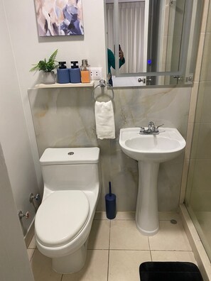 Douche, sèche-cheveux, serviettes fournies, savon