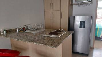 Standard Apartment | Private kitchen | Microwave, stovetop, rice cooker, blender