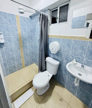 Standard Double Room | Bathroom | Shower, towels, soap, shampoo