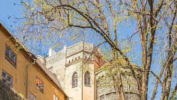 A historic building with stone walls and a tower, surrounded by greenery and a tree.