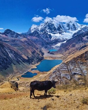 Basic Tent, Patio, Mountain View | Terrace/patio - Huayhuash Hotsprings Trek net price  (Lima)