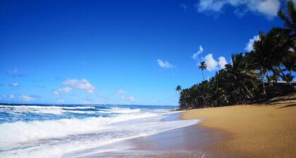 Tropical Paradise in Rincón. Stunning Views