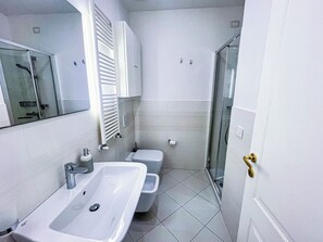 Shower, hair dryer, bidet, towels