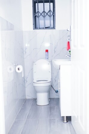 Shower, towels, toilet paper
