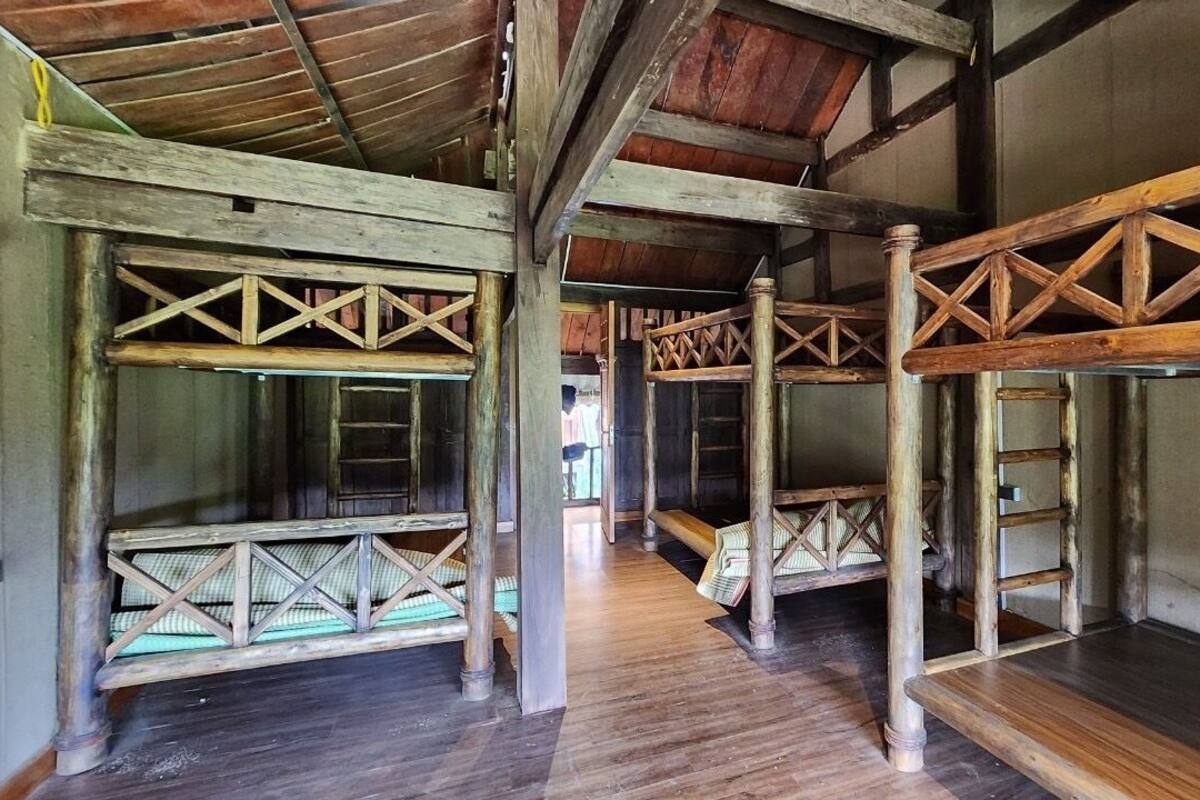 A rustic wooden interior with bunk beds and a ladder.