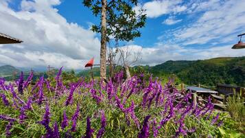 Een bergachtig landschap met paarse bloemen, een houten bank en een rode vlag.
