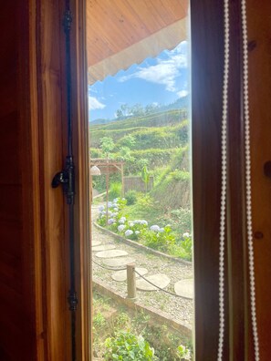 Pemandangan dari properti