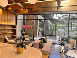 Um interior moderno com um sofá, cadeiras, uma mesa e uma planta em vaso.