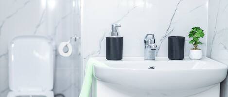 Shower, towels, toilet paper