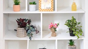 A white shelving unit with various decorative items including plants, candles, and a framed picture. - Cozy Flat in the Heart of Camden (Greater London)