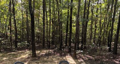 Charming cabin in Belvidere with WiFi and AC