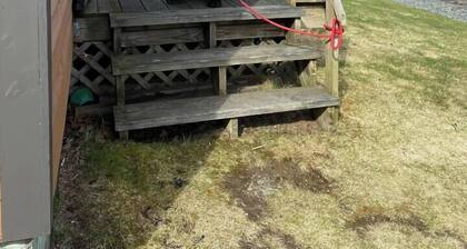 Moose River Cabin 1 - Allies