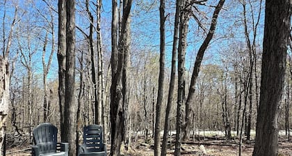 Cozy Woodland Retreat in the Poconos – Nature, Fire Pit & Peaceful Vibes