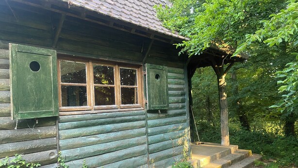 A rustic wooden cabin with a window and two green shutters, surrounded by lush greenery. - Charming wooden house (Auffargis)