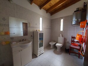 Shower, hair dryer, bidet, towels