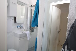 Shower, towels, toilet paper