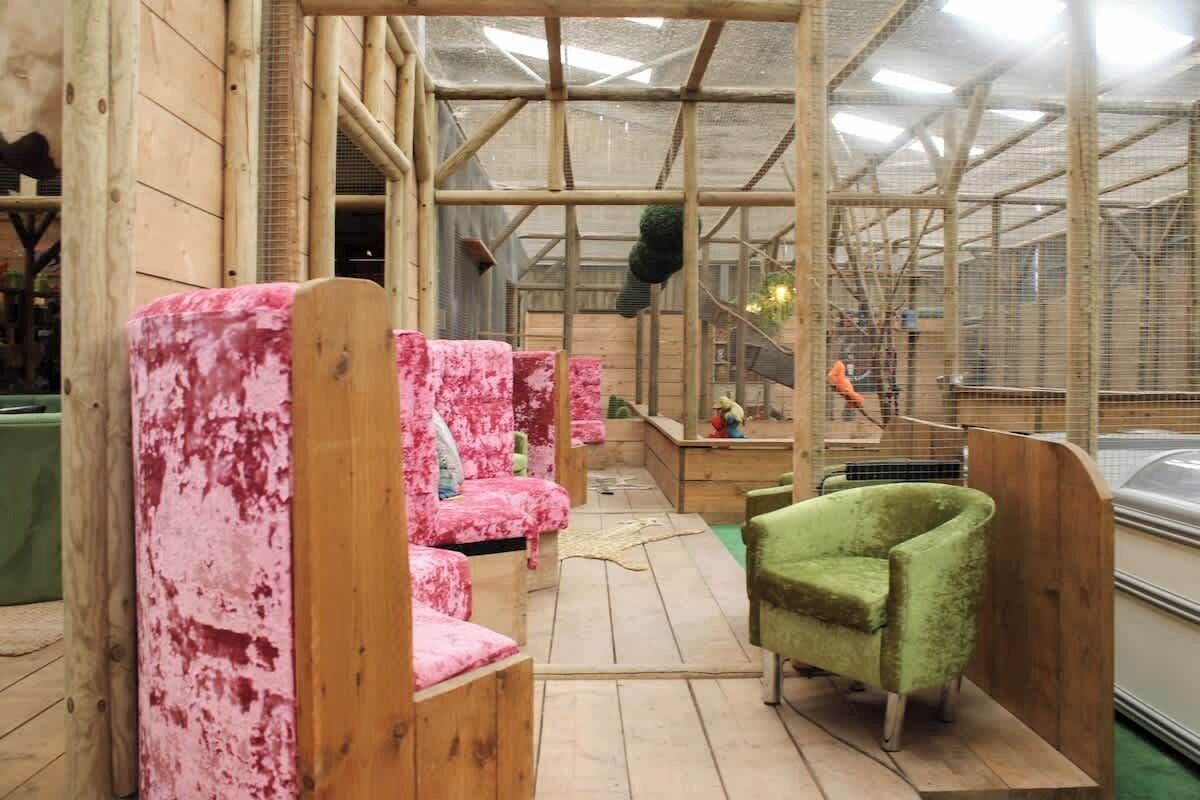 A room with wooden benches, a green armchair, and a greenhouse structure with a mesh roof.