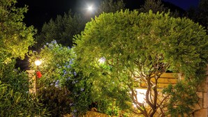 Een tuin 's nachts, met een stenen muur, verlicht door sfeerverlichting, en een opvallende boom in het midden.