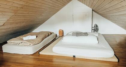 Old apartment in the heart of the city with terrace