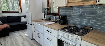 Charming Vallecito Tiny home - Sleeps 4 , internet and A/C