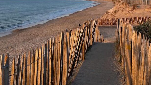 Un sendero costero con valla de madera que lleva a una playa.