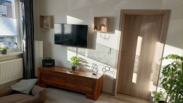 A modern living room with a flat-screen TV, wooden console, and potted plants.