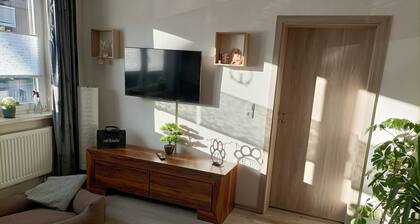 🐾 HARZ-PFOTE family and dog-friendly vacation apartment