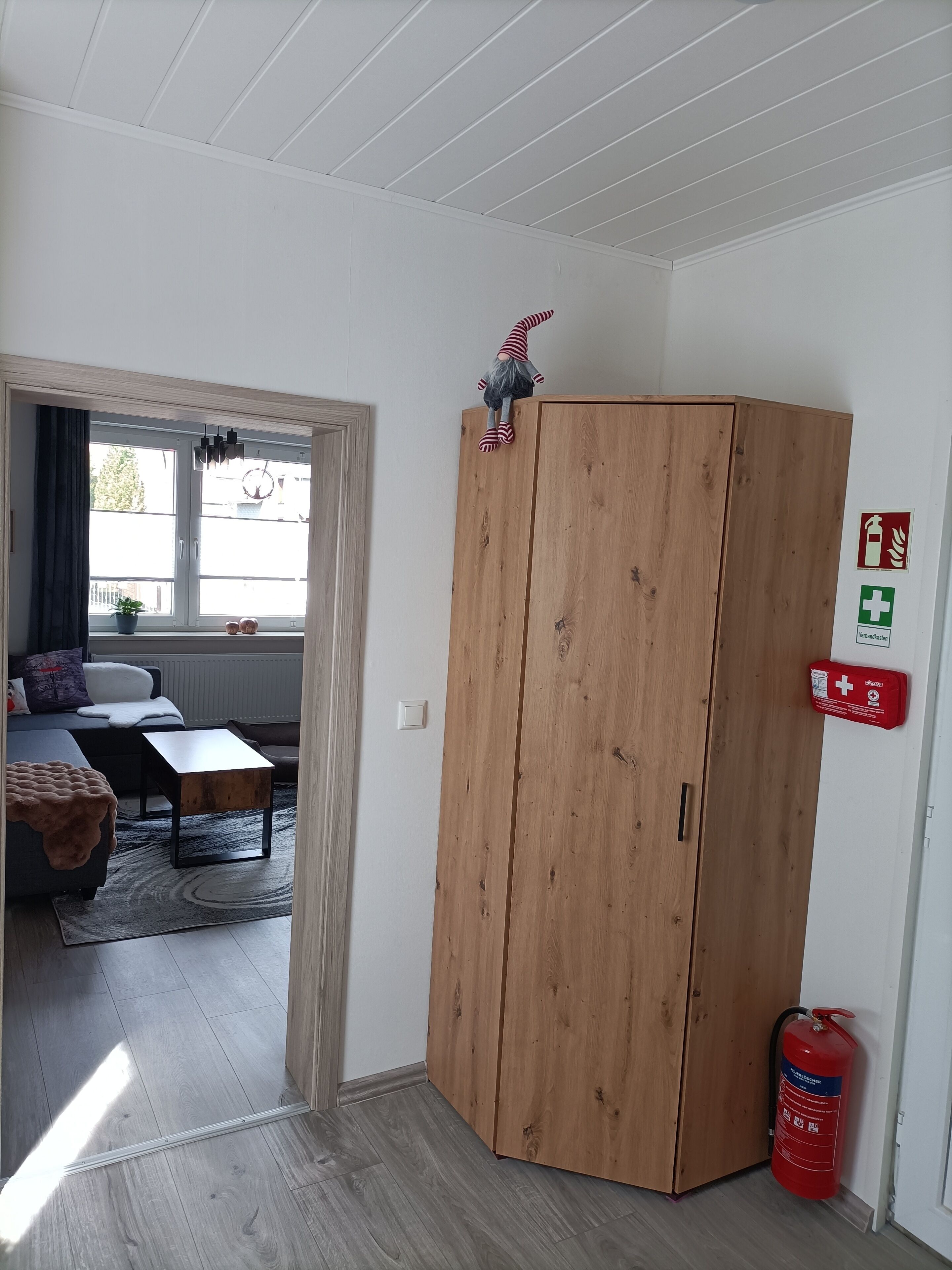 Una habitación con un armario de madera, un extintor y vistas a un balcón con una planta.