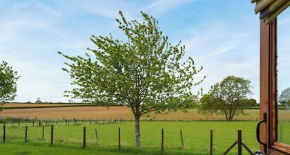 Shepherds Cottage - UK49766