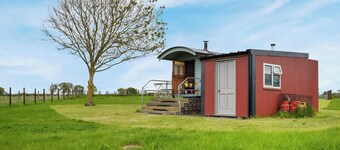 Shepherds Cottage - UK49766