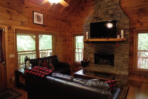 Smart TV, fireplace, books