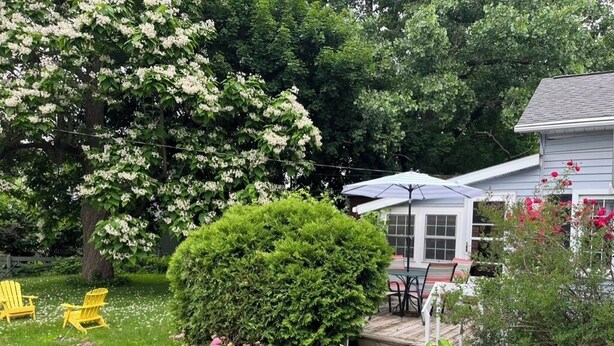 A backyard with a wooden deck, outdoor furniture, and a variety of plants and flowers.