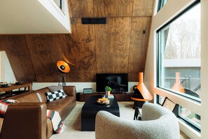 TV, fireplace, video games, books