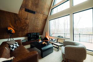 TV, fireplace, video games, books