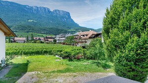 Ein Wohngebiet mit Häusern, einem Weinberg und Bergen im Hintergrund.