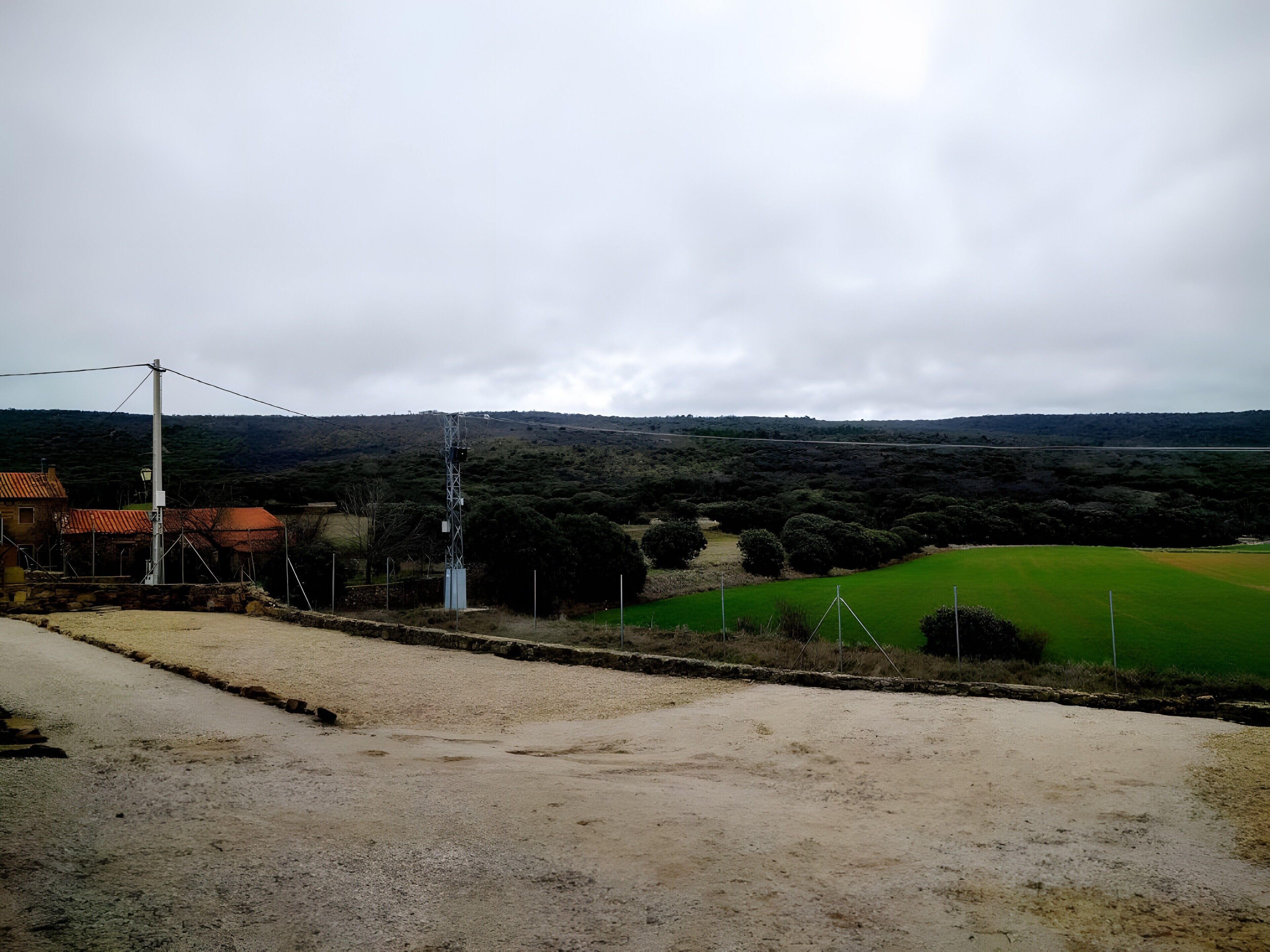 A rural landscape with a dirt road, a utility pole, and a green field.