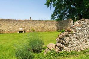 Property grounds - Balneo Guest Room with Air Conditioning – Relaxation, Spa and Nature in Gascony (Mauléon-d'Armagnac)