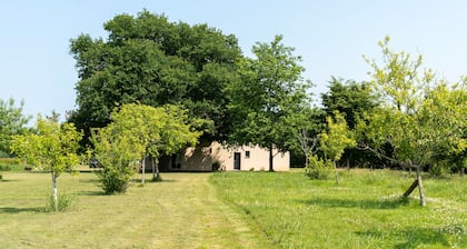 Guest House 'Chambre Balneo' with Private Terrace, Wi-Fi and Air Conditioning