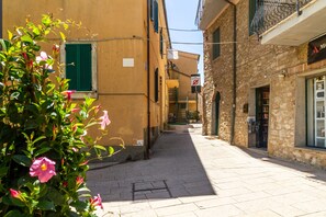 Esterni
