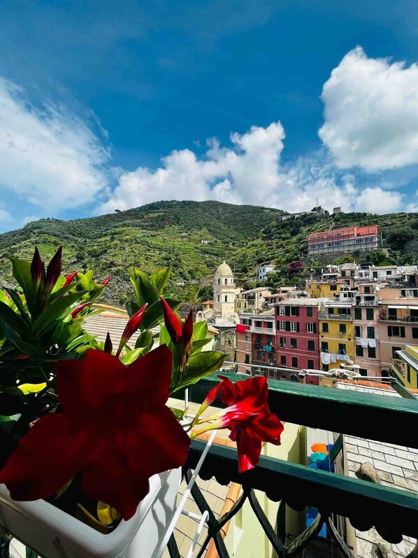 Un balcon orné de fleurs rouges, une vue sur une colline et, au loin, des bâtiments aux couleurs vives.