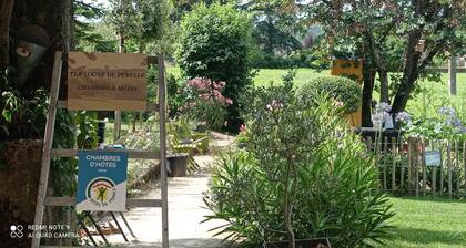 Guest House 'Verte' with Mountain View, Wi-Fi and Air Conditioning