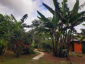 Terrace/patio - corcovado green parrot (Drake Bay)
