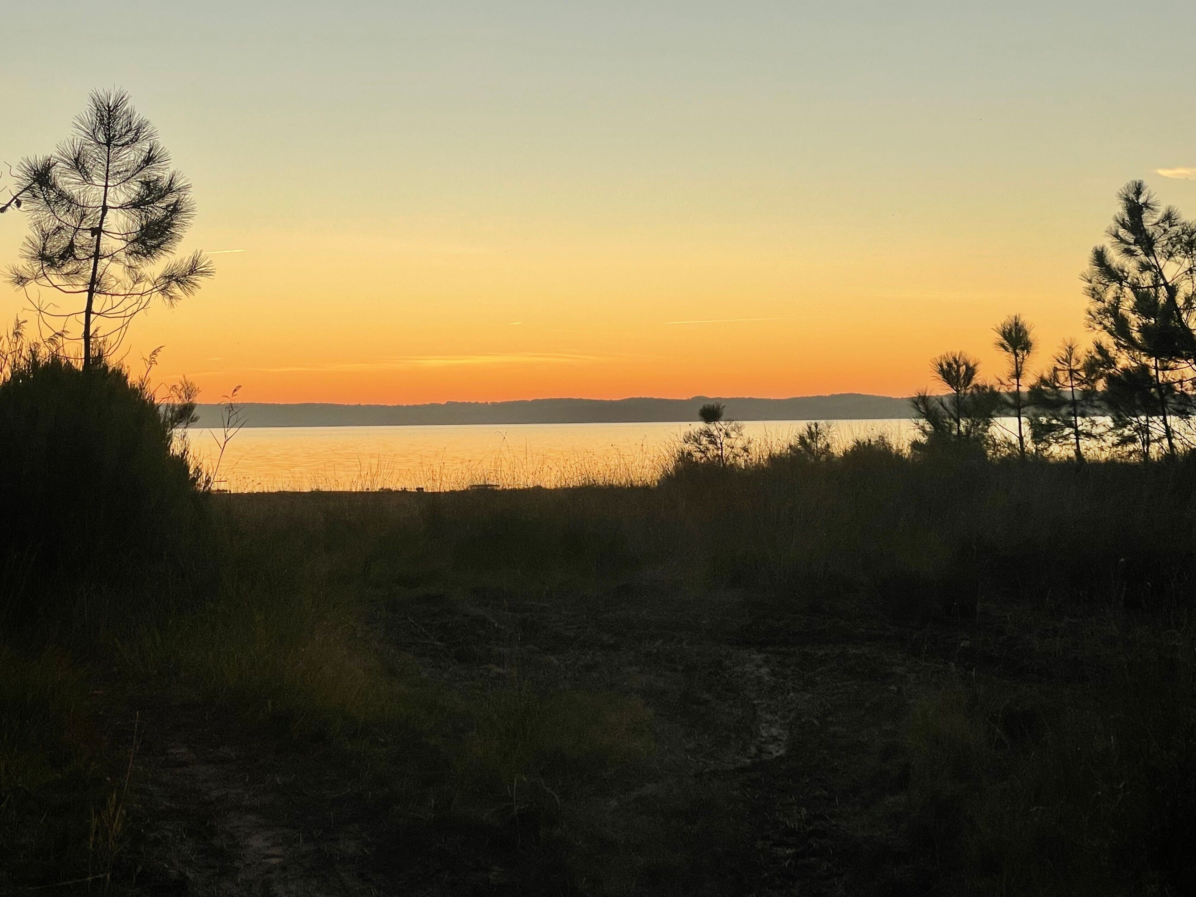 A natural landscape with a body of water, trees, and a clear sky.