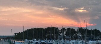 Bleu Nature – Bright Studio with Air Conditioning in Hourtin, Between Lake and Ocean