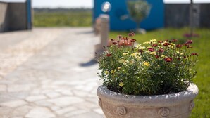 Une plante en pot avec des fleurs au premier plan, un chemin pavé et un mur bleu avec un arbre en arrière-plan.