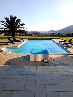 A rectangular swimming pool with a blue cover, surrounded by lounge chairs and a palm tree.