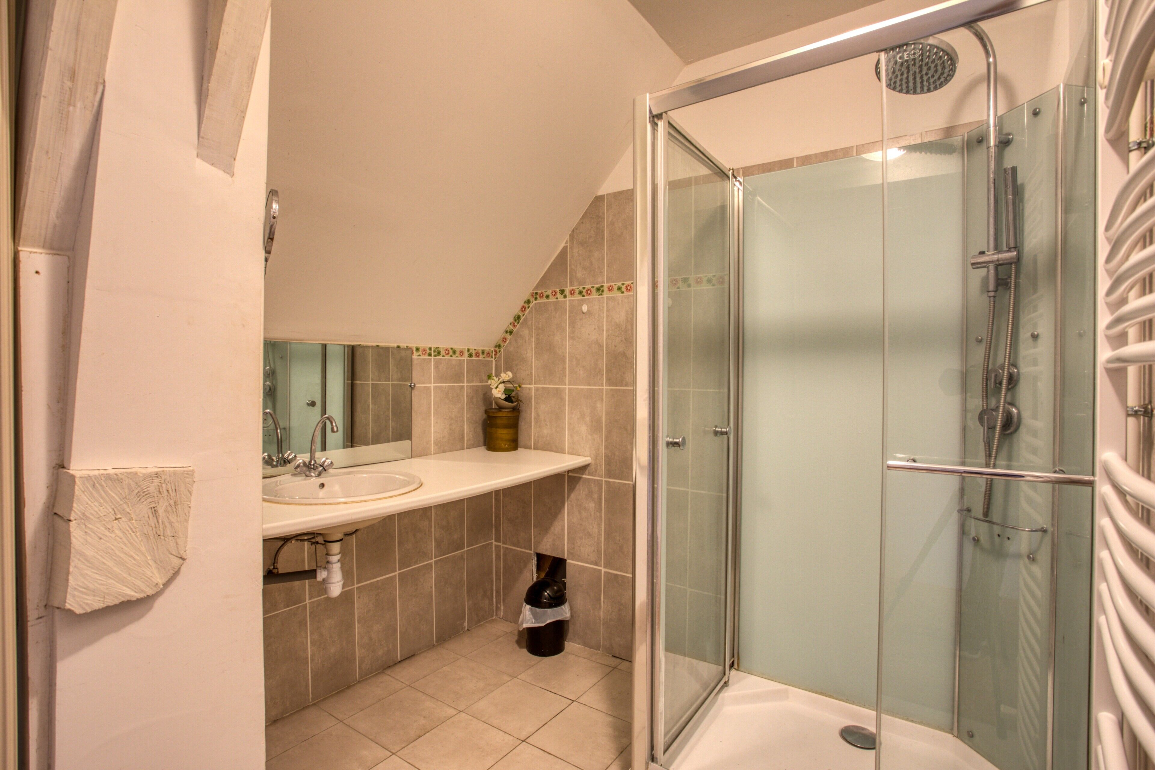 Un baño con ducha envuelta en vidrio, un lavabo y un espejo.