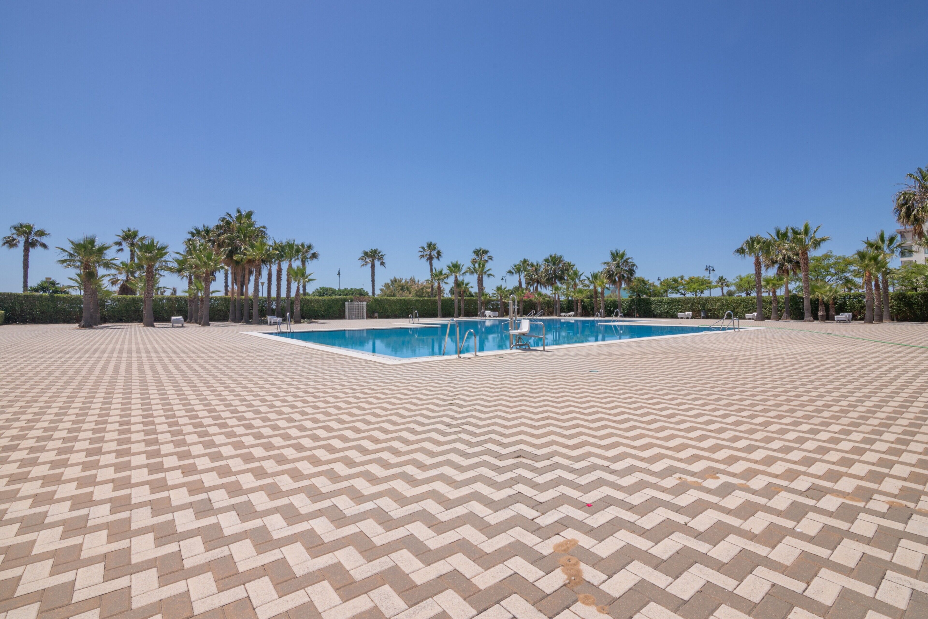 Una piscina con un borde de baldosas con diseño en forma de chevrón, rodeada de palmeras y un cielo despejado.