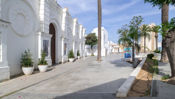 A paved street with white buildings, palm trees, and potted plants.